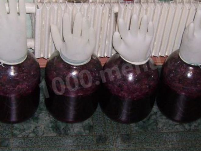 Рецепт домашнего вина из винограда изабелла