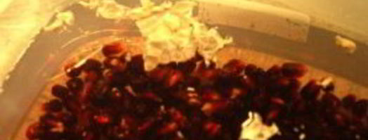 гранатовый сироп. Шаг 2