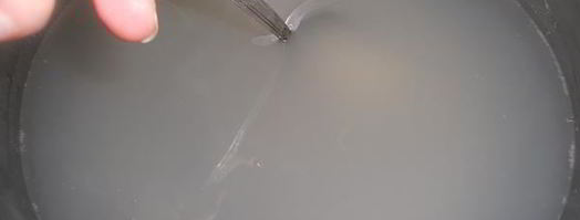 кисель из ревеня. Шаг 4