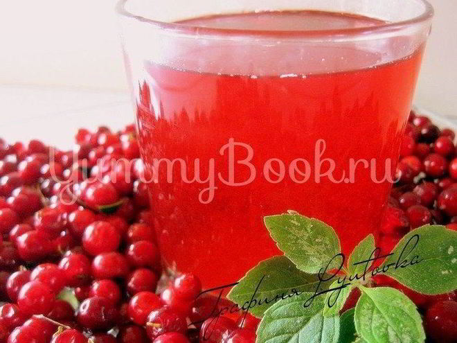 Рецепт брусничного морса