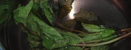 напиток из калины с мятой и медом. Шаг 3