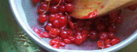 напиток из калины с мятой и медом. Шаг 4