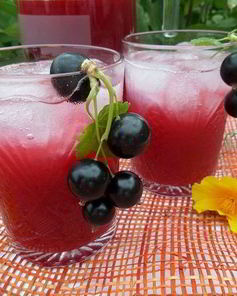 Напиток из ревеня и черной смородины