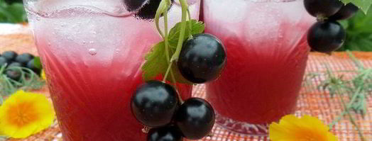 напиток из ревеня и черной смородины. Шаг 11