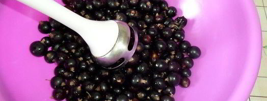 напиток из ревеня и черной смородины. Шаг 4