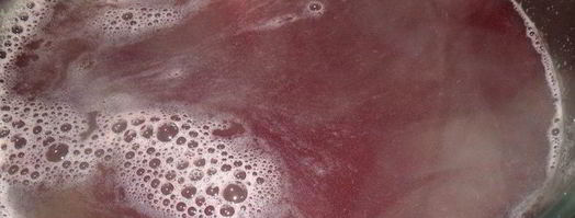 напиток из ревеня и черной смородины. Шаг 8