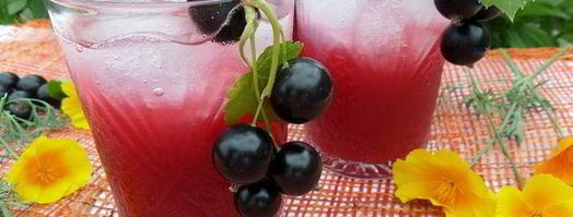 напиток из ревеня и черной смородины. Шаг 10