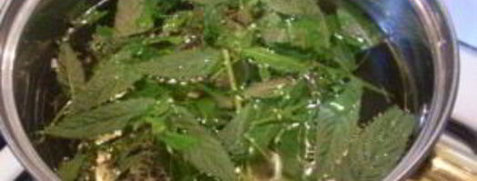 освежающий напиток из мяты. Шаг 3