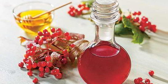 Сироп из калины с медом