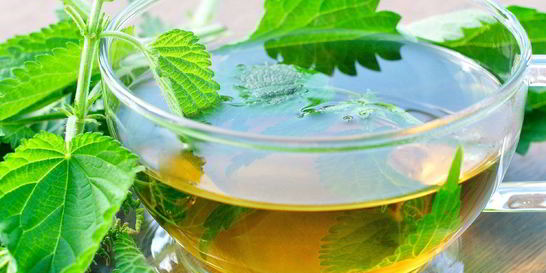 Сироп из крапивы