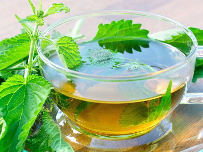 Рецепт сиропа из крапивы