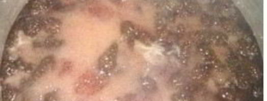 сироп из сосновых шишек. Шаг 2