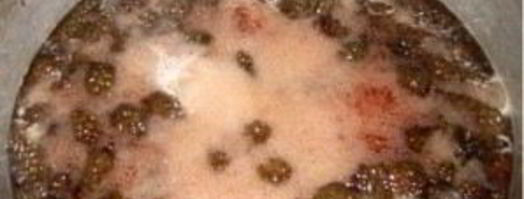 сироп из сосновых шишек. Шаг 3