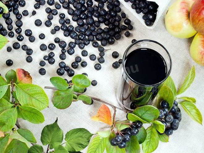 Рецепт вина из аронии