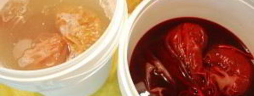 вино из сливы. Шаг 2