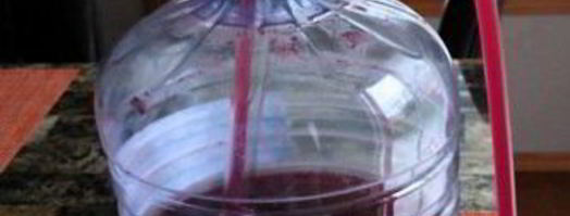 вино из терна без дрожжей. Шаг 3