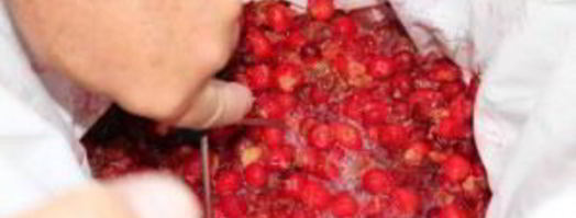 вино из вишни. Шаг 5