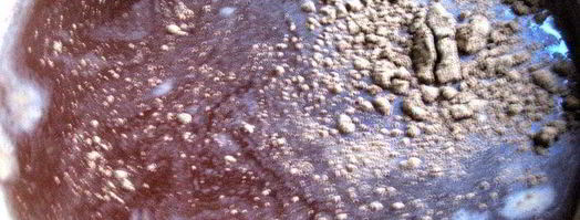 яблочный сироп на зиму. Шаг 5