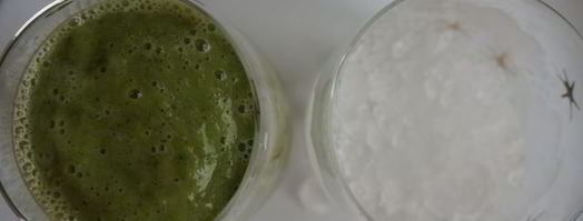 зеленый коктейль антиоксидант. Шаг 5