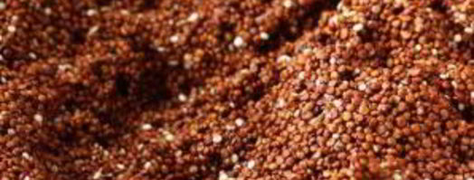 салат из лебеды. Шаг 5