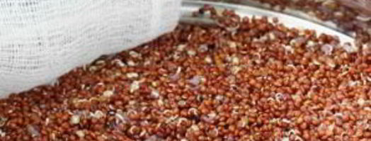 салат из лебеды. Шаг 7