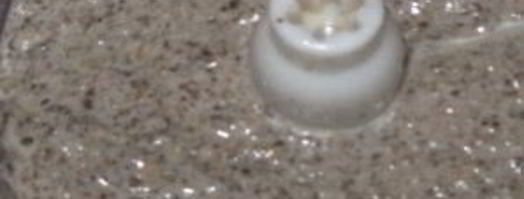 грибной соус из шампиньонов со сметаной. Шаг 5