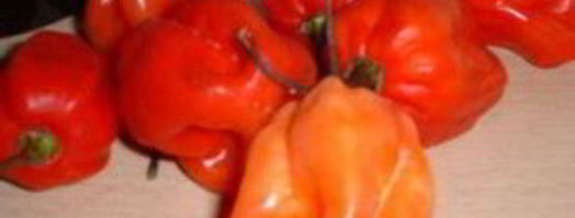 соус чили. Шаг 2