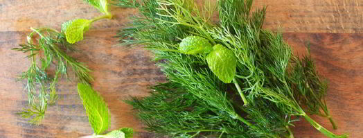 соус дзадзики. Шаг 2