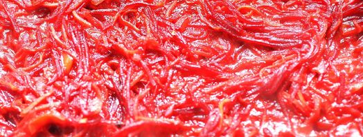 борщ без мяса. Шаг 6