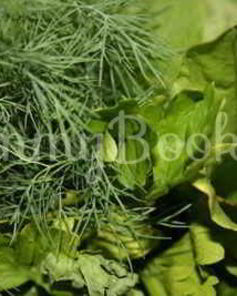 Борщ летний щавелевый