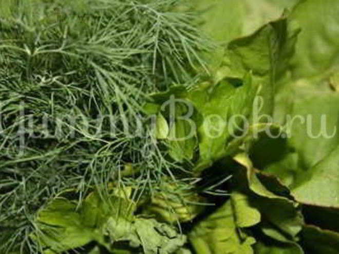 Рецепт борща летнего щавелевого