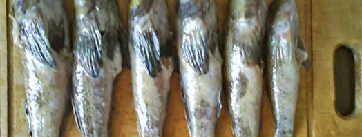 борщ с бычками и фасолью. Шаг 5