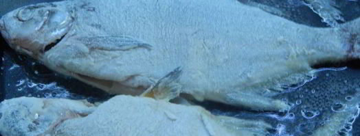 борщ с грибами и карасями по-днепропетровски. Шаг 7