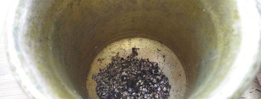 борщ с капустой. Шаг 12