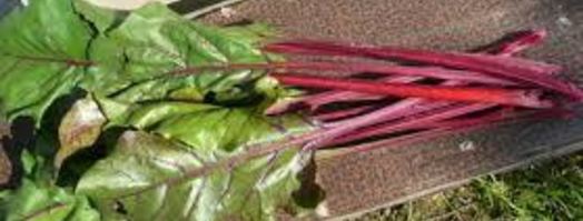 борщ свекольный. Шаг 2