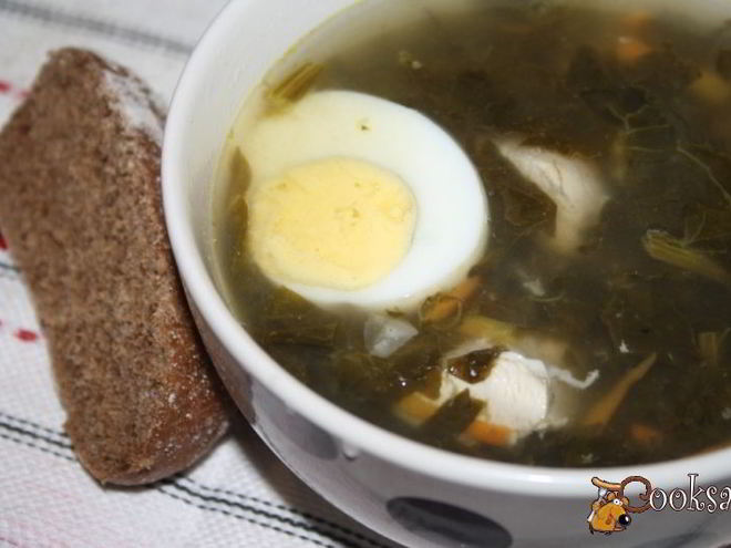 Рецепт зеленого борща с конским щавелем на куриных грудках