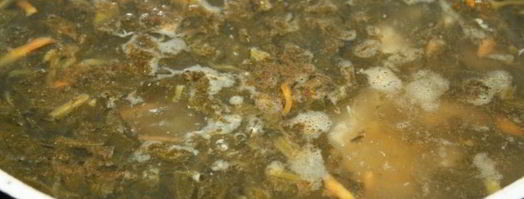 зеленый борщ с конским щавелем на куриных грудках. Шаг 4