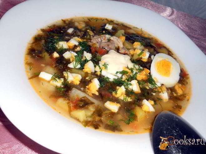 Рецепт зеленого борща с курицей и томатом