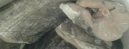 зеленый борщ с сомом. Шаг 2