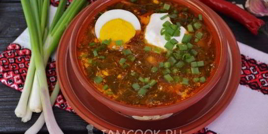 Зеленый борщ со щавелем и яйцом