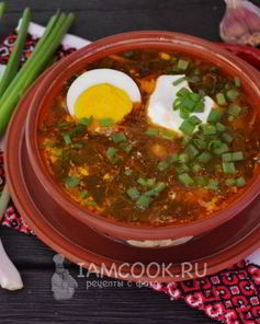 Зеленый борщ со щавелем и яйцом