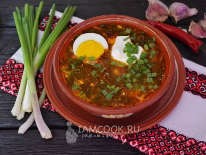 Рецепт зеленого борща со щавелем и яйцом