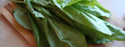 зеленый борщ со щавелем. Шаг 7