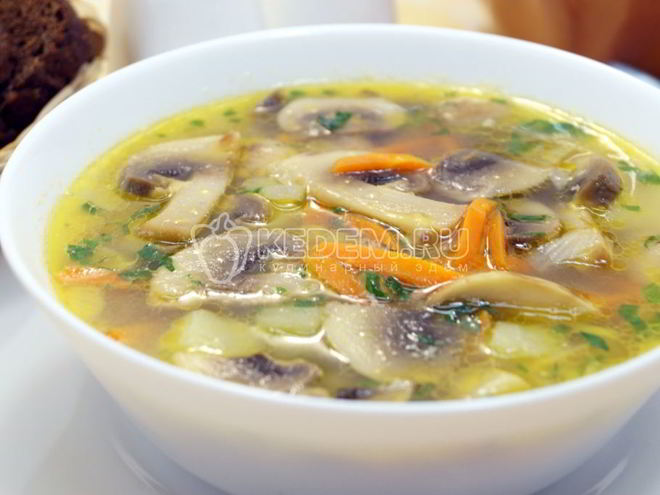 Рецепт грибного супа из шампиньонов