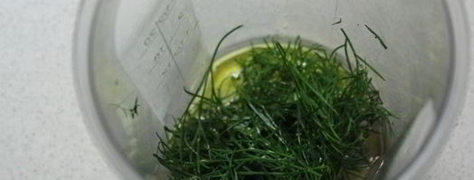 крем-суп из цукини с рикоттой, киноа и укропом. Шаг 6