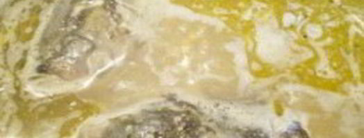 рыбный суп с пшеном. Шаг 4