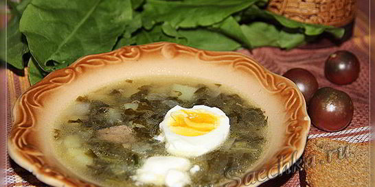 Щи из щавеля