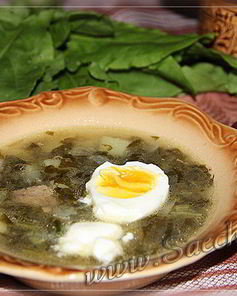 Щи из щавеля