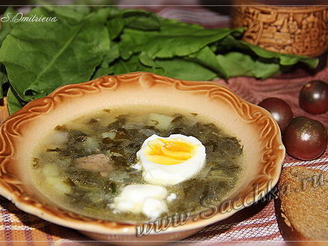 Рецепт щей из щавеля