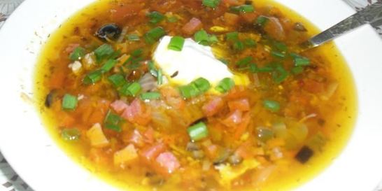 Домашняя солянка